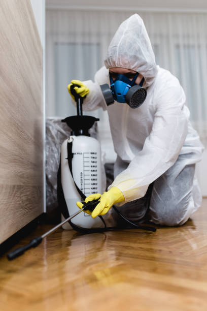 Best Residential Pest Control  in Alamae, NC